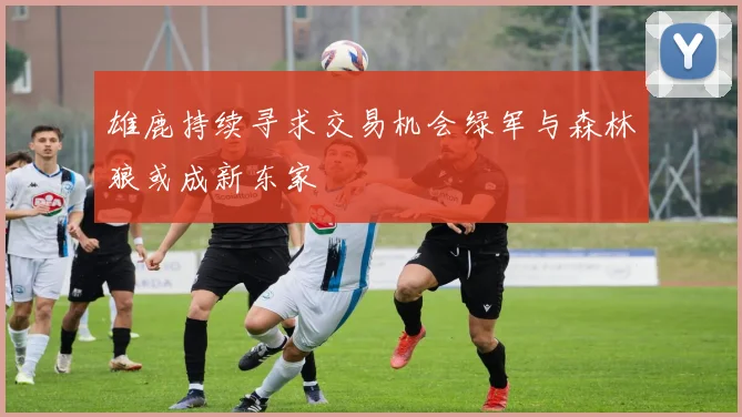 雄鹿持续寻求交易机会绿军与森林狼或成新东家