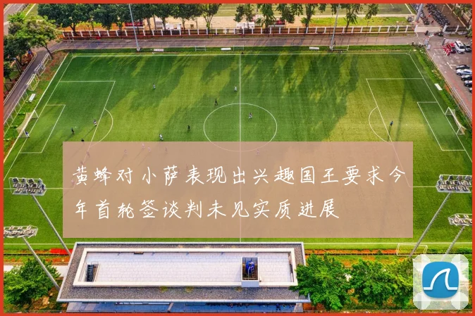 黄蜂对小萨表现出兴趣国王要求今年首轮签谈判未见实质进展